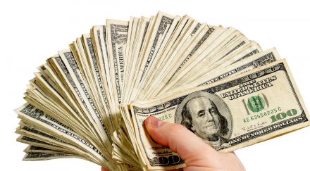 граничари разбили бизнес 100 млн долара