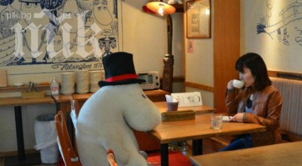 плюшени играчки утешават самотници японско кафене