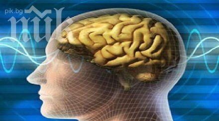 електроника имитира милиони мозъчни клетки наведнъж