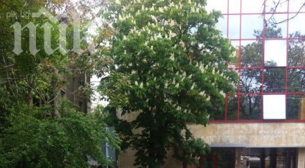 внимание слагат скоби коли центъра софия нерегламентирано