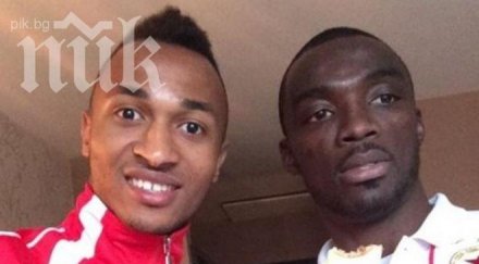 бананите стигнаха цска снимка