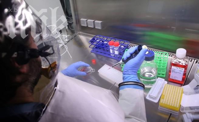 Овладяха епидемията от ебола в Гвинея