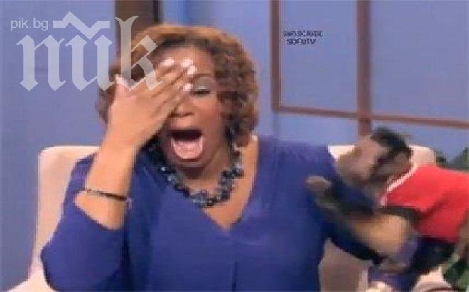 Маймуна зашлеви тв водеща