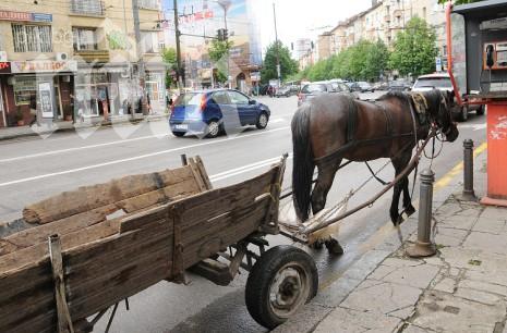 Ромска каруца задрудни движението на Петте кьошета в София