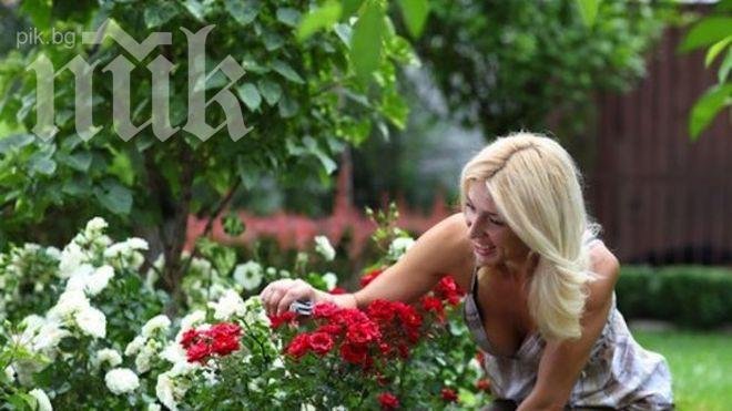 Безработни почват работа като градинари по европейски проект