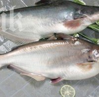 Зарибиха язовир 