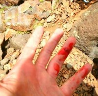 Пътнически автобус се обърна край Сливо поле! Две жени са загинали, много са ранени (обновена)