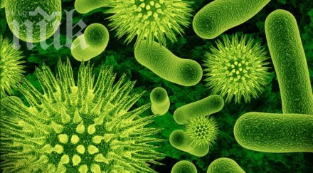 учени вече разговарят бактериите