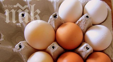 унищожиха половин тон развалени яйца