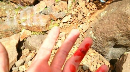 пътнически автобус обърна сливо поле две жени загинали ранени обновена