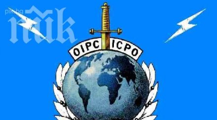 интерпол захваща шатката хосе избягали пандиза