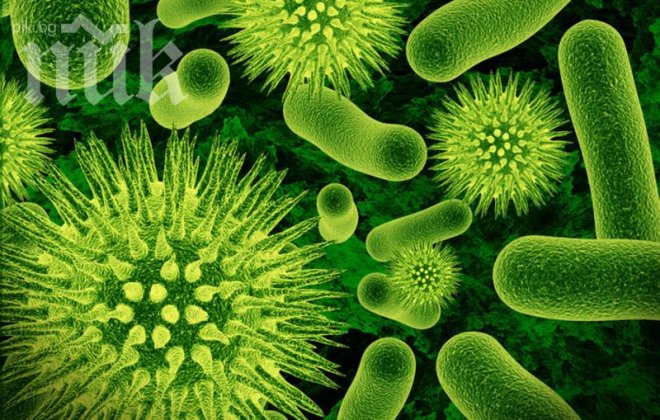 Учени вече могат да разговарят и с бактериите