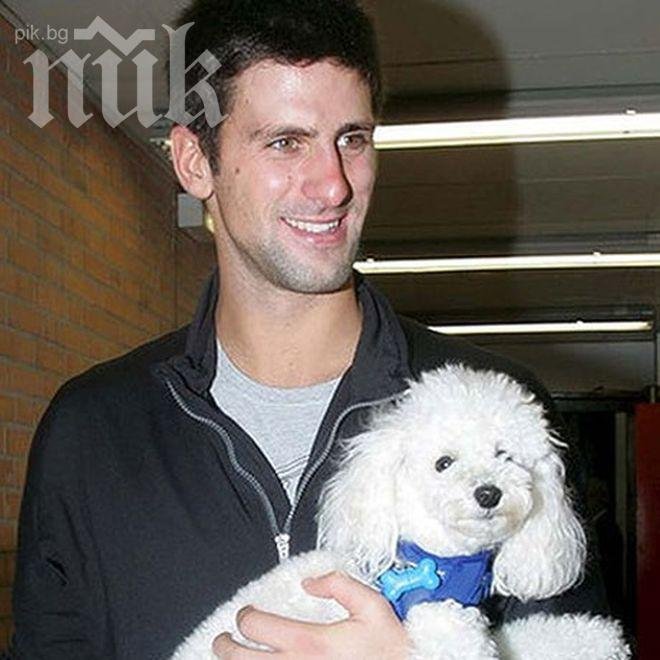 Новак Джокович състави идеалния отбор на света по футбол