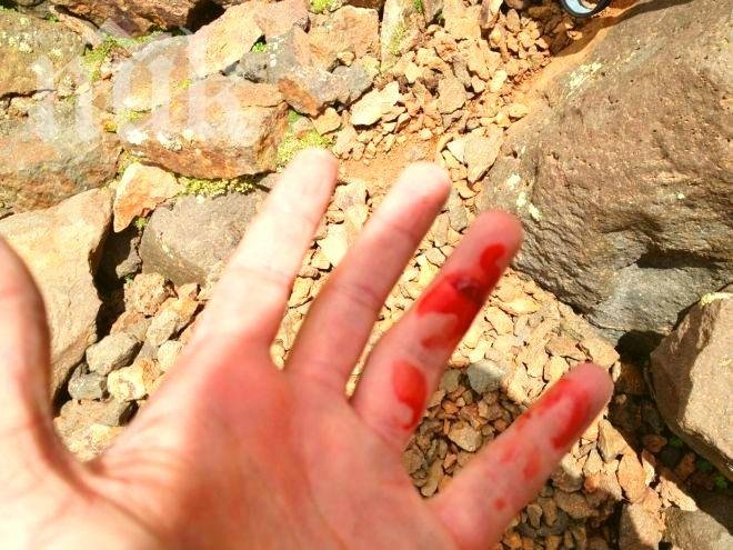 Пътнически автобус се обърна край Сливо поле! Две жени са загинали, много са ранени (обновена)