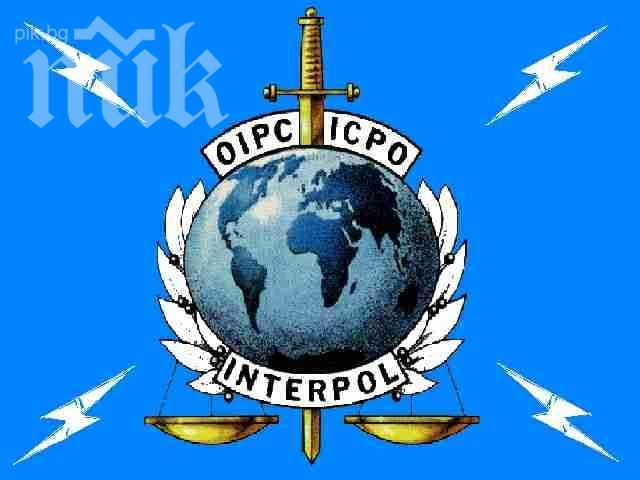 Интерпол се захваща с Шатката и Хосе, избягали от пандиза