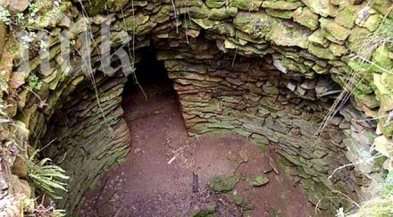 зверство пияна хвърли деца кладенец едното почина