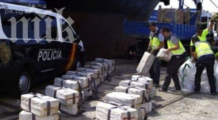 албанската полиция конфискува половин тон марихуана