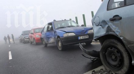 верижна катастрофа пътя търговище разград