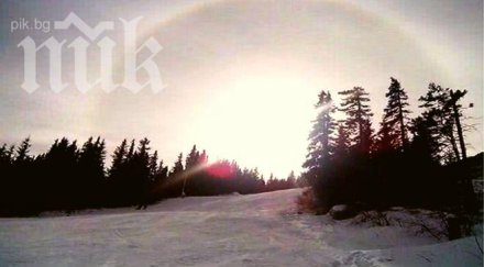 еколози предупреждават витоша превръща пустиня