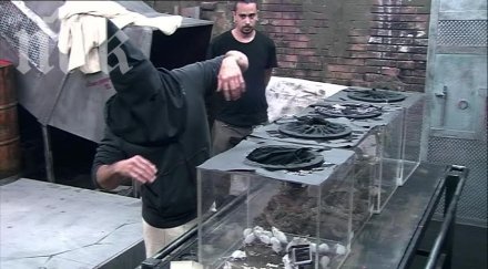 георги къртицата ухапан змия навръх именния ден