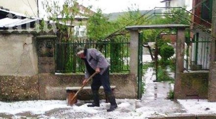 градушка орех смля реколтата снимки