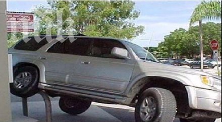 вижте доказателство жените шофират видео