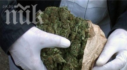 хванаха два чувала марихуана дърводелски цех