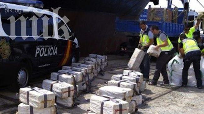 Албанската полиция конфискува половин тон марихуана