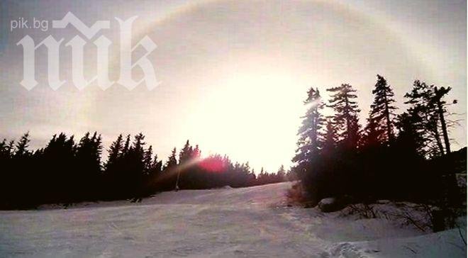 Еколози предупреждават: Витоша се превръща в пустиня