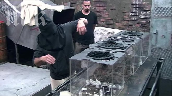 Георги от Къртицата ухапан от змия навръх именния си ден