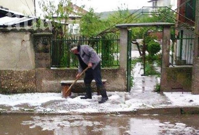 Градушка като орех смля реколтата (снимки)
