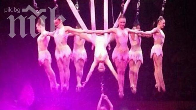 Счупена скоба е вероятната причина за инцидента в американския цирк