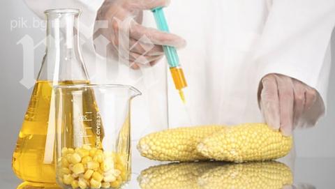 Франция забрани отглеждането на генномодифицирана царевица в страната