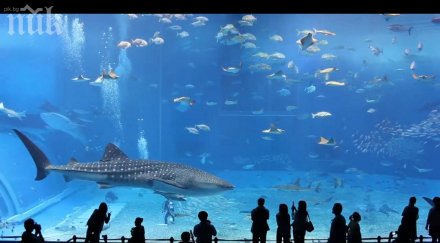 еколози наводниха street view покажат изглежда кварталът повишаване нивото океаните