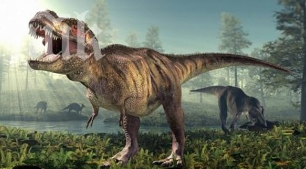 динозаврите изчезнали еволюирали птици