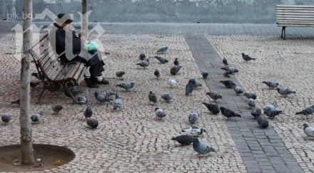 изгониха годишен наемател заради хранене гълъби