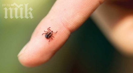 внимание дъждът изкара кърлежите рано вече една жертва