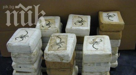 испания откриха тона кокаин скрит контейнер ананаси