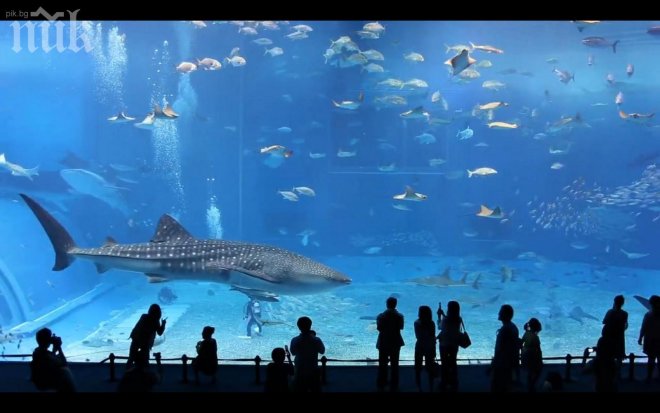 Еколози “наводниха” Street View, за да покажат как ще изглежда кварталът ни при повишаване нивото на океаните