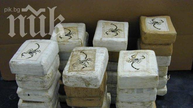 В Испания откриха 2,5 тона кокаин, скрит в контейнер с ананаси