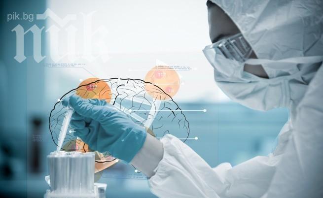 Учени ще произвеждат найлон от дървесни отпадъци