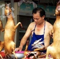 Ужас! Ресторант в Бургас сервира кучешко вместо агнешко месо