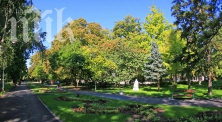 ужас олово кадмий цар симеоновата градина пловдив