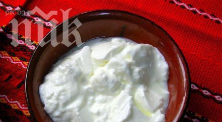 започваме изнасяме кисело мляко китай