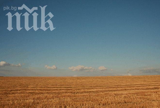 Над 70% от земята ни може да ражда биохрани