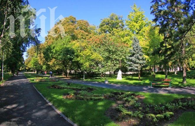Ужас! Олово и кадмий в Цар-Симеоновата градина в Пловдив