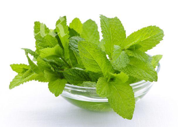 Полезните качества на ментата
