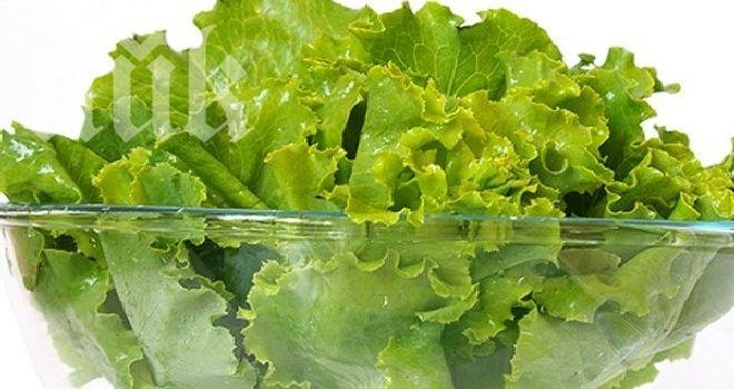 Биопроизводител: В обикновените салати има повече вода и химикали