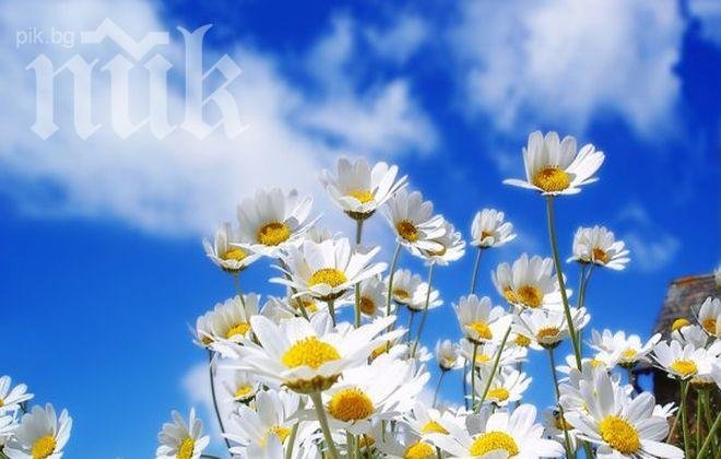 Майското лято продължава и днес, ще има слаби дъждове  и много слънце