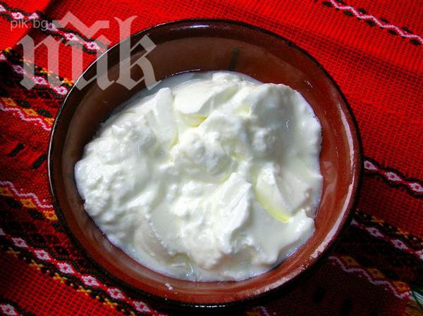 Започваме да изнасяме кисело мляко за Китай